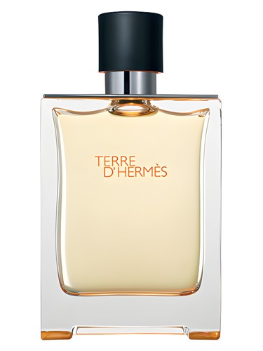 Terre d'Hermès Hermès cologne by Hermes