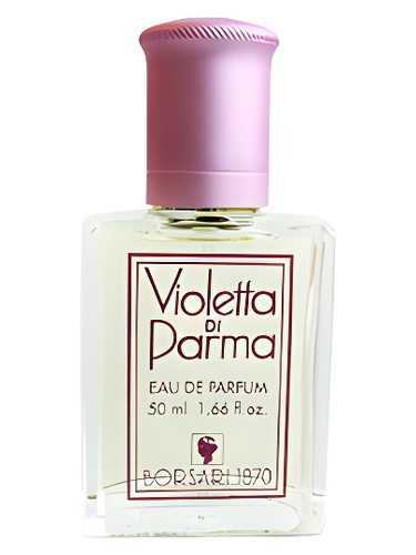 Violetta di Parma by Borsari