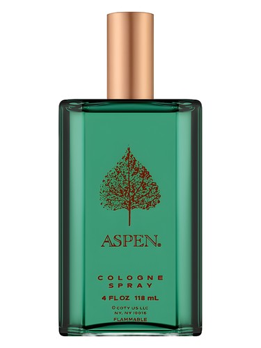Aspen For Men by Coty