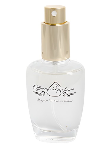 Musk by Officine del Profumo