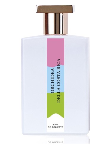 Orchidea della Costa Rica