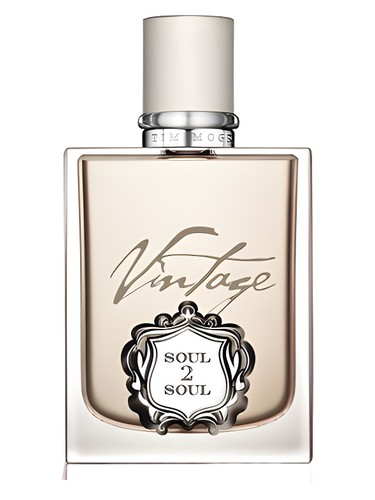 Tim McGraw Soul2Soul Vintage by Tim McGraw