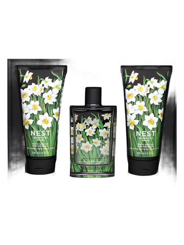 White Narcisse by Nest
