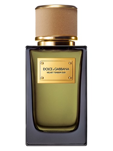 Velvet Tender Oud Dolce&Gabbana perfume