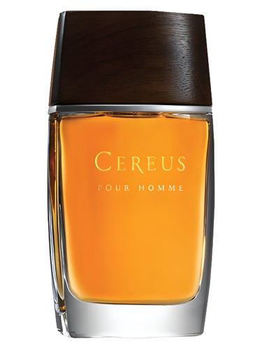 Cereus No. 14 by Cereus