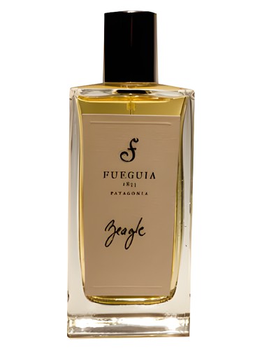 Beagle by Fueguia 1833