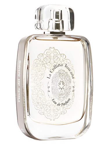 Vicolo Del Sellaio by La Collina Toscana