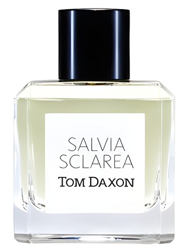 Salvia Sclarea by Tom Daxon