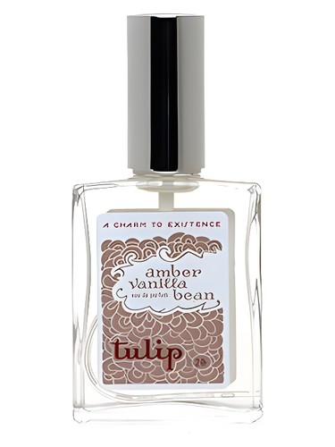 Amber Vanilla Bean by Tulip