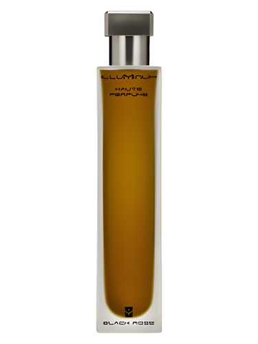 Black Rose by Illuminum