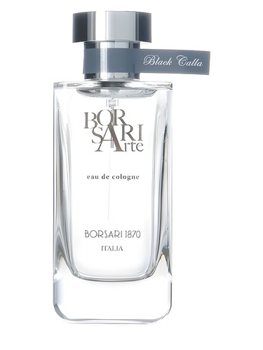 Black Calla by Borsari