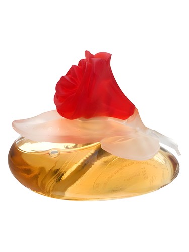 Fiorilu En Fleur by Pupa