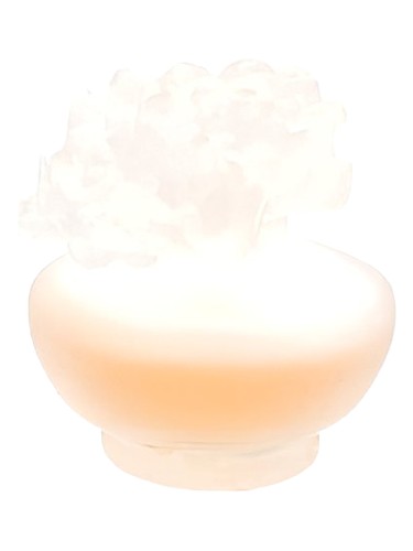 Orange Tropical by Pupa