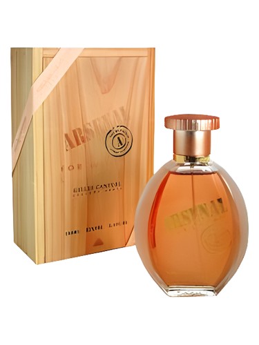 Arsenal Women by Gilles Cantuel