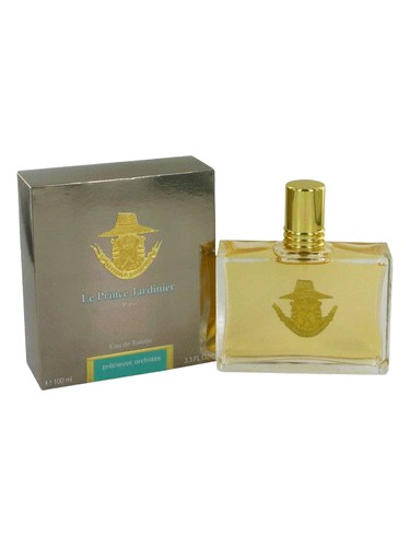 Precieuse Orchidee by Le Prince Jardinier