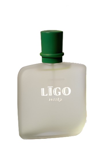 Līgo Svētku (Ligo Holiday) by Dzintars