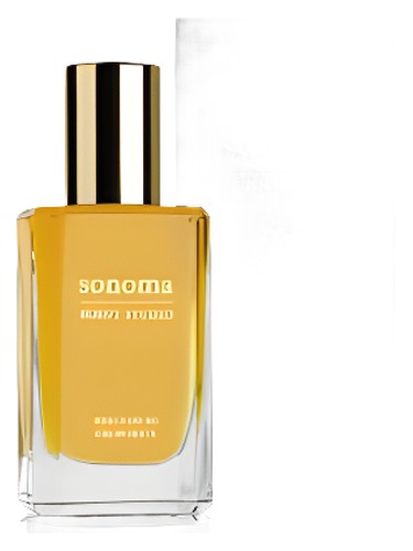 Spiced Citrus Vetiver by Sonoma Scent Studio