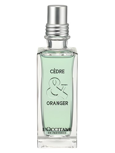 Cèdre & Oranger L'Occitane en Provence cologne by L Occitane en Provence