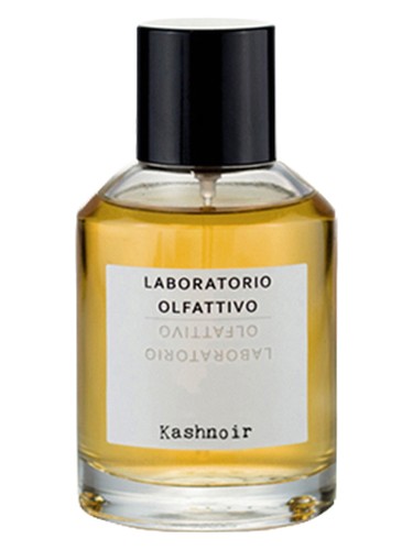 Kashnoir