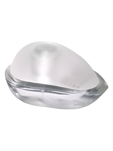 Annam by Tan Giudicelli