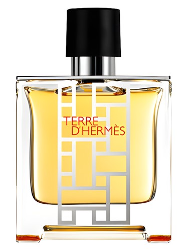 Terre d'Hermès flacon H 2013 Hermès cologne by Hermes
