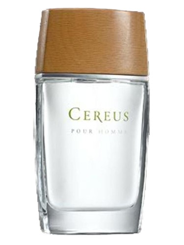 Cereus No.4 by Cereus