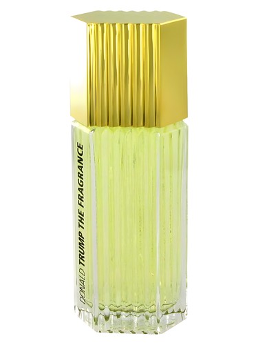 Donald Trump by Trump