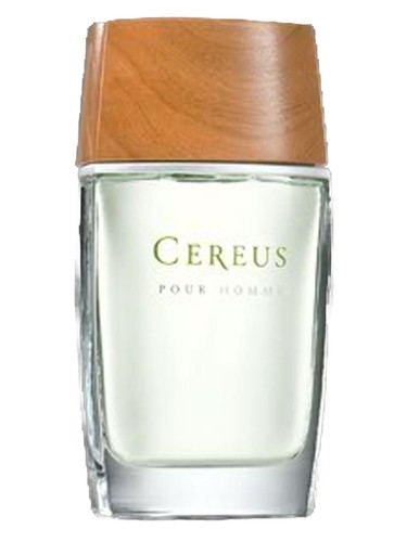 Cereus No.5 by Cereus