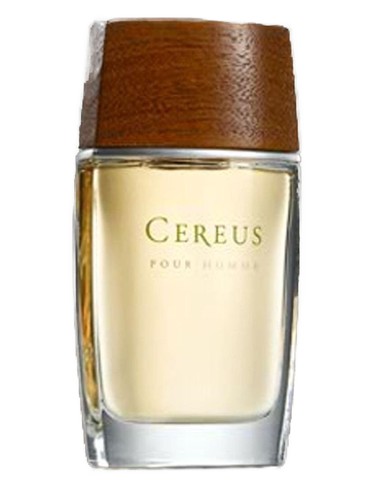 Cereus No.7 by Cereus
