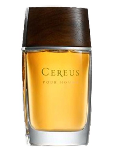 Cereus No.11 by Cereus