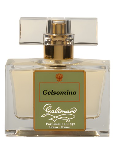 Gelsomino by Galimard