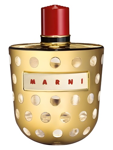 Marni Metallic by Marni