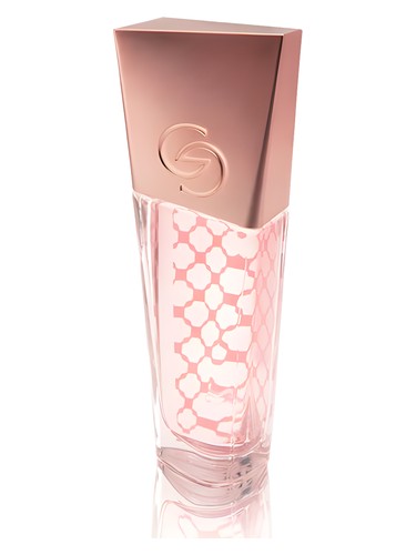 Giordani Gold Incontro