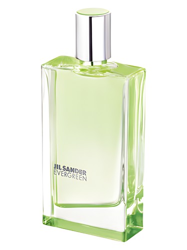 Evergreen by Jil Sander