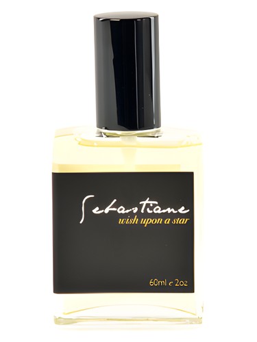 Wish Upon a Star by Sebastiane