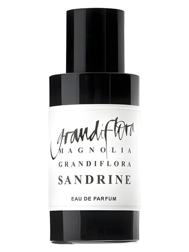 Magnolia Grandiflora Sandrine by Grandiflora