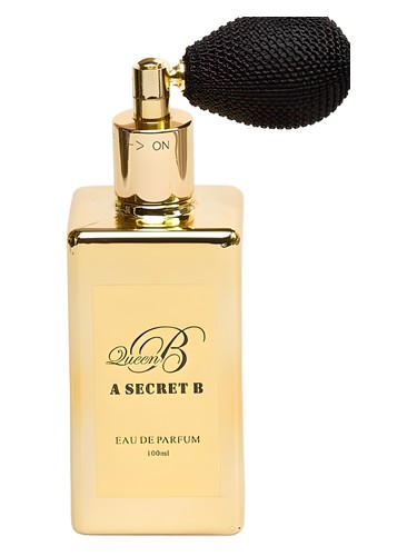 A Secret B by Queen B