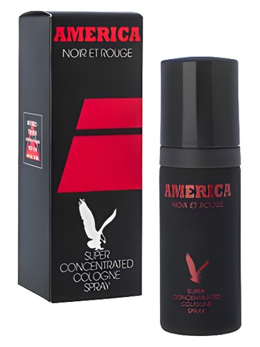 America Noir et Rouge by Milton Lloyd