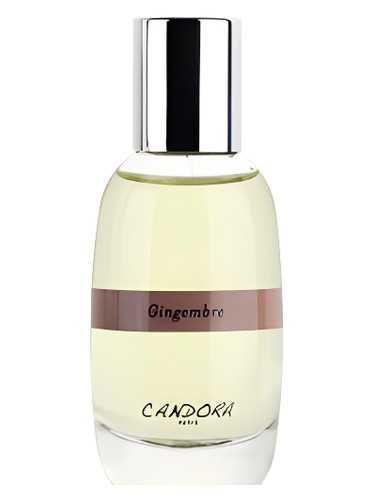 Gingembre by Candora