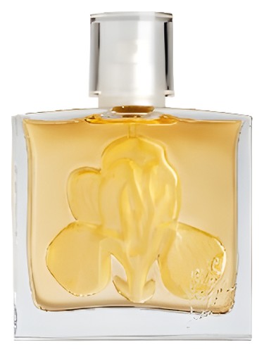 Iris in Love by Kiotis