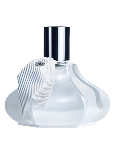 Wisteria Hysteria by Stephen Jones