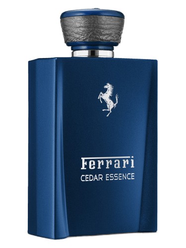 Cedar Essence by Ferrari