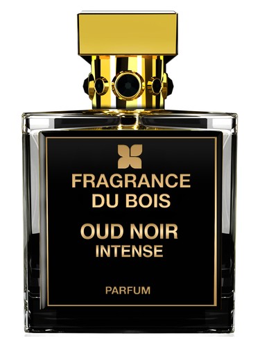 Oud Noir Intense by Fragrance Du Bois