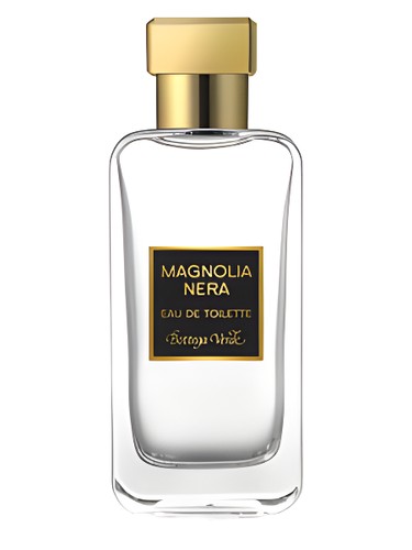 Magnolia Nera