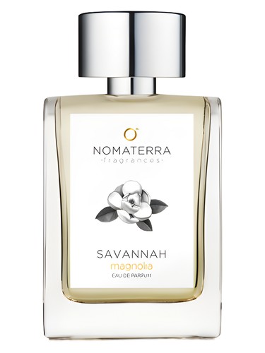 Savannah Magnolia by Nomaterra