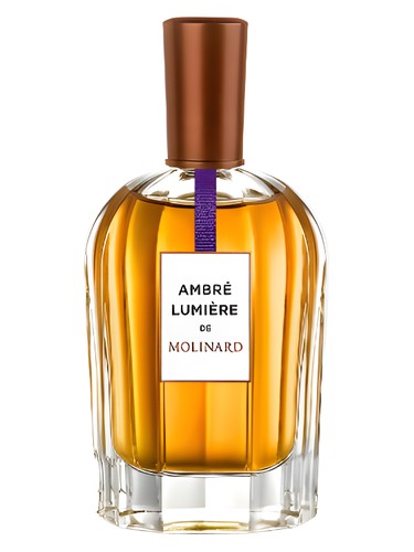 Ambre Lumiere by Molinard