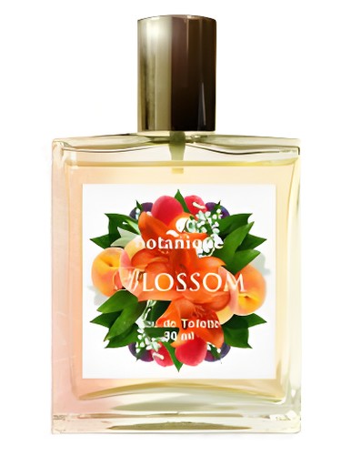 Blossom by Botanique