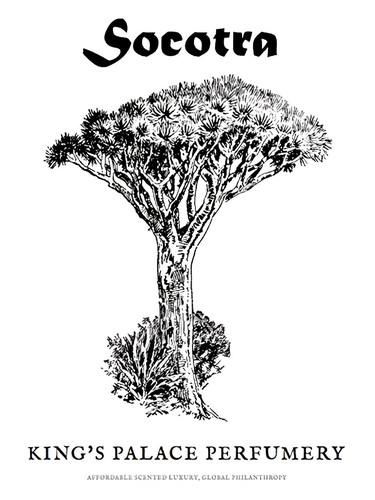 Socotra King's Palace Perfumery perfume by King s Palace Perfumery