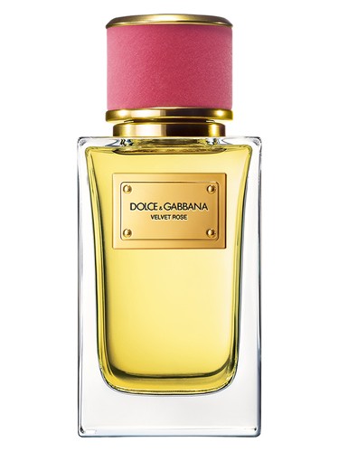 Velvet Rose Dolce&Gabbana perfume