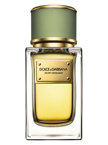 Velvet Bergamot Dolce&Gabbana cologne